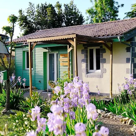 Chez Camille Vérines